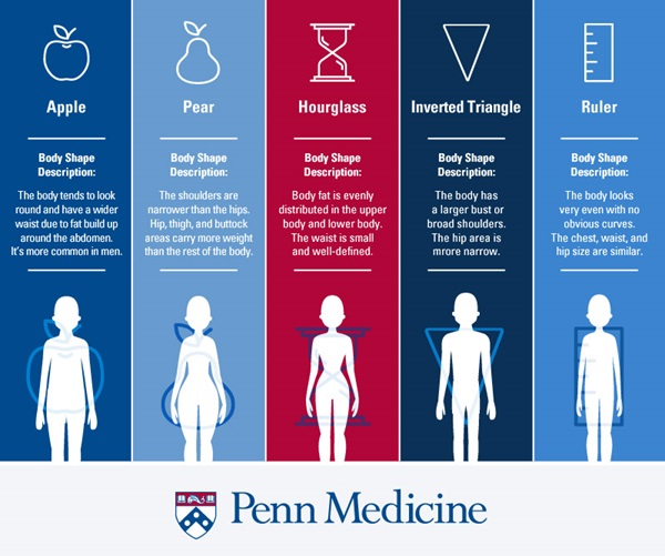 Different Body Shapes Διαφορετικά σχήματα σώματος