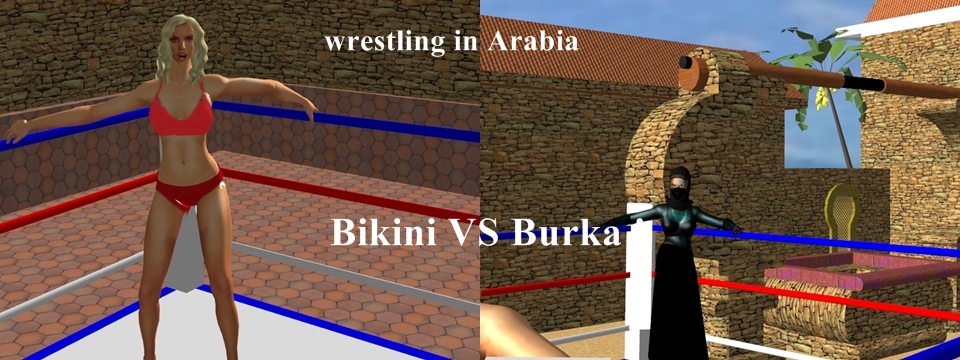 Bikini vs burka